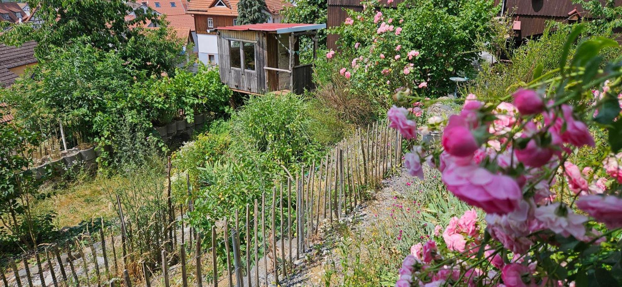 דירות Waldheim Lindenfels מראה חיצוני תמונה